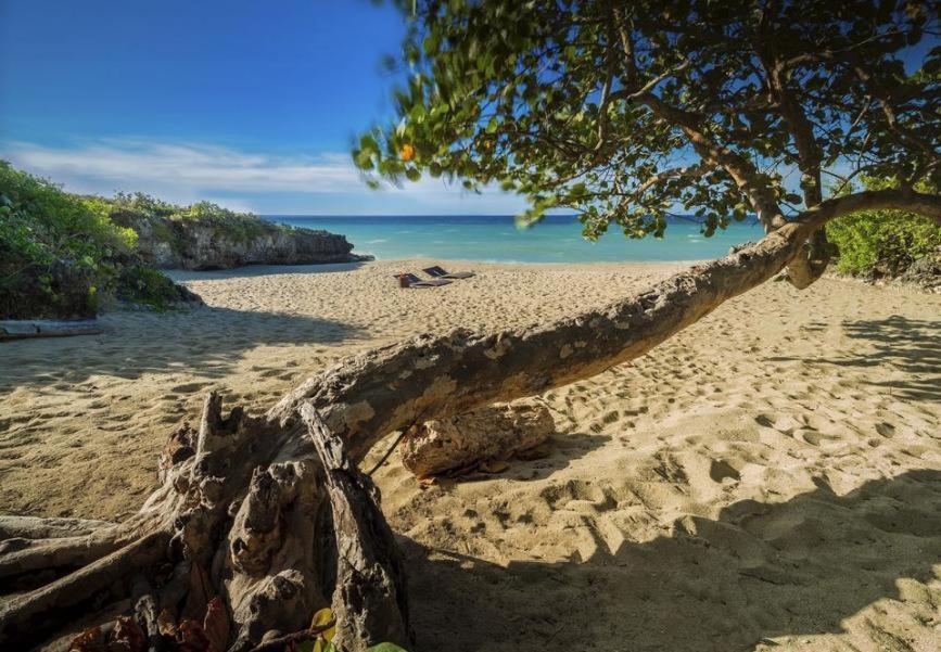 Amazing Condos At Sosua Ocean Village المظهر الخارجي الصورة